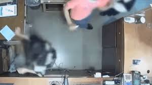 피터 레스쿠이에 벨기에 대사(오른쪽 첫번째)와 부인(오른쪽에서 두번째)가 2018년 7월 부임 직후 청와대에서 문재인 대통령과 기념촬영을 하고 있다. 5uzjnv6cuh6jom