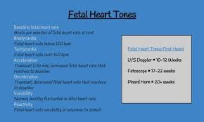 Notes For Assessing Fetal Heart Tones Fetal Heart Rate Heart Tone Midwife Assistant