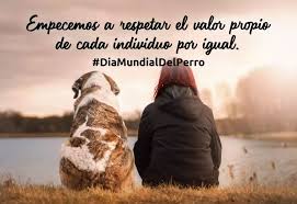 21 de julio 2021, 08:44 horas. Dia Internacional Del Perro Y La Explotacion Canina