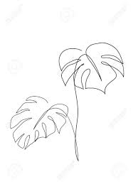 Monstera plant one line drawing. Monstera Leaf Line Art Contour Drawing Minimalism Art Modern Royalty Free Cliparts Vectors And Stock Illustration Image 96325324