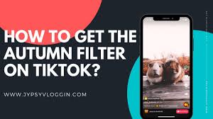 Tiktok is an international version of douyin, which was … How To Get The Autumn Filter On Tiktok Jypsyvloggin