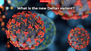 The delta variant that has swept the uk is now popping up across europe, according to the latest some scientists fear the delta variant may have already spread further but gone undetected given. What Is The New Delta Plus Variant Times Of India