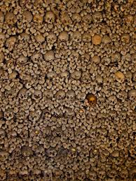 Image result for sedlec ossuary