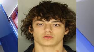 Man to serve life in prison for role in deadly stabbing of disabled  brothers in Lancaster