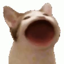 Easily create animated pop cat gifs online. Pop Cat Sticker Pop Cat Discover Share Gifs