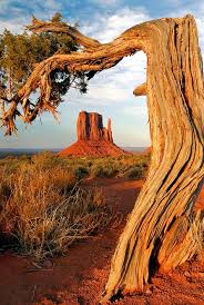 Activités shopping à monument valley. Die 32 Besten Ideen Zu Monument Valley Monument Valley Landschaft Naturbilder