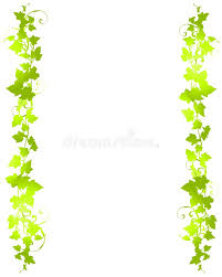 Succulent frame, border on white background. Green Vine Leaf Background Borders Stock Illustration Illustration Of Clipart Leaves 3996908