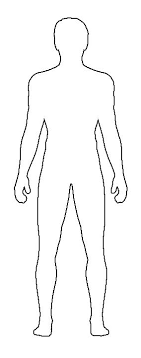 Body diagram 8 body front. Human Outline Drawing Template Novocom Top
