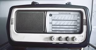 Cactus in question about to be replanted, click to open full image. The Glorious Days When Radio Ruled The Airwaves Starts At 60