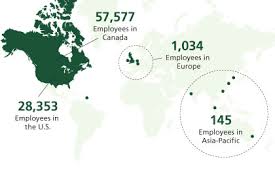 Organizational Profile