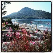 The villas are spread over two bays with sandy 'blue flag' beaches and the resort is in tranquil area, surrounded by the sea to the south and an. Tadi Hala Damagimda Datca Aktur Da Bir Kac Gun Atlas Tozu
