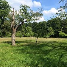 T 030 365 43 40 f 030 368 08 492 m gatow@dccberlin.de. Obstwiese Gatow Home Facebook