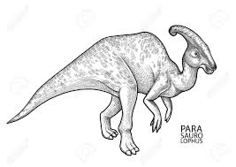 Maroon is a deeper, darker shade of red that has a few different colors that complement it. Graphic Parasaurolophus Vector Dinosaur Isolated On White Background Animal Of The Prehistoric Period In Engraving Technique Coloring Book Page Design Royalty Free Cliparts Vectors And Stock Illustration Image 95713342
