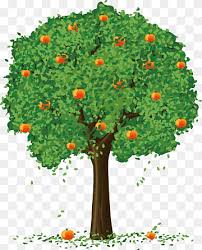 Shake the tree to knock off any ants that may be there already. Drawing Painting Illustration Fruit Trees Leaf Branch Plant Stem Png Pngwing