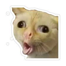 Coughing Cat Meme Sticker By Shelbylickliter In 2021 Cat Memes Cat Stickers Scary Cat