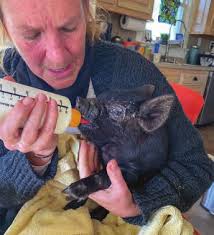 CL May 2025 Cover_Co-ops.indd