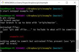 It keeps a commit history which allows you to revert to a stable state in case you mess up your code. How To Install And Use Git On Windows