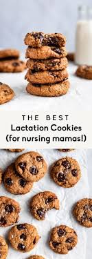 The Best Lactation Cookies For Nursing Mamas Ambitious Kitchen Recipe Lactation Cookies Lactation Recipes Easy Lactation Cookies Recipe