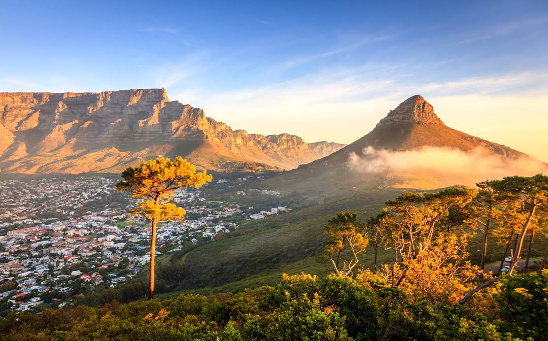 Lions head Кейптаун