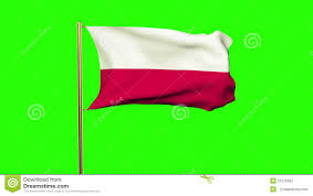 The polish flag consists of two horizontal bands of equal width, white on the top and red on the bottom. Poland Flag Waving In The Wind Looping Sun Rises Stock Footage Video Of Patriot Polish 51518362