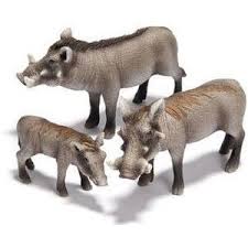 Warthog Boar Schleich Toy Animal Figure 14611 Polyvore Pet Toys African Jungle Animals Animal Figurine Toys