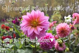 Pin By All Dahlia D Up Flower Farm On All Dahlia D Up Flower Memes Dahlia Flower Flower Quotes Flowers