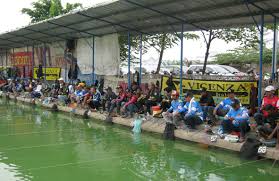 Cs 101 Minggu Regular Eksekutif Tiap Bulan Ada Kolam Gaplean Kabar Mancing