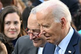 Image result for Bidens schimperi