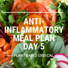 Best foods and meal ideas for mental concerntration. Anti Inflammatory Meal Plan Day 5 1500cal Vegan Tina Redder True Food