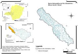 Image result for Rhytachne subgibbosa