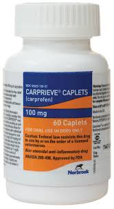 Carprieve Carprofen For Dogs Norbrook Labs Safe Pharmacy