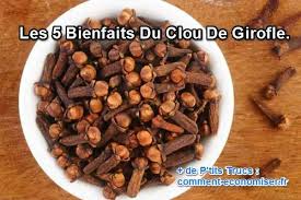 Les 5 Bienfaits Du Clou De Girofle Clou De Girofle Nourriture Chien Girofle