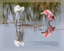 In this chapter, paul writes about spiritual gifts and the unity of the members of christ in one body. 1 Corinthians 12 4 6 Photograph By Dawn Currie