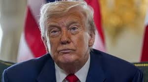 Bridge Nutrition Services' Ryan Stallard visits Global News Morning