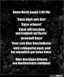 Man sprach ihn daher nur aus, wenn es absolut notwendig war. Heute Nacht Gegen 2 30 Uhr Katze Hupft Aufs Lustige Bilder Spruche Witze Echt Lustig