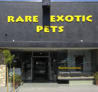 Their purely natural food is what makes sure your puppy will continue to be healthful, feel effectively and energized through the many years.regretably, even in states wherever it really is lawful to maintain exotic pets, there are a few fears using … Exotic Pet Stores Near Me Cheap Online