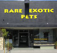 Examples are as diverse as the if an owner can no longer care for a pet, they should talk to a local pet shop owner, their veterinarian or even state wildlife biologists and ask for options. Exotic Pet Stores Near Me Cheap Online