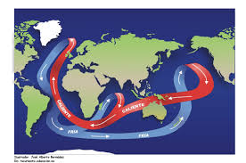 Aspectos Del Medioambiente La Cinta Transportadora Del Oceano