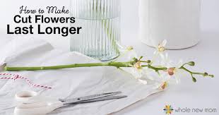 Freshly cut flowers don't last forever and a typical flower food usually contains acid, sugar and bleach. How To Make Flowers Last Longer Plus The Best Method Of All