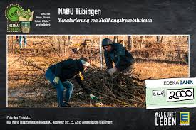 Hier werden die firmen aufgelistet die das gesuchte schlagwort natur liegesysteme als für die firma relevant angegeben haben. Umweltpreis 2020 Von Den Stadtwerken Tubingen Nabu Tubingen