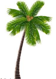 Гифки и гиф анимация, gif. Gif Picmix