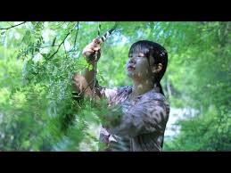 二米炊烟 山上的洋槐花开了 香气四溢 刚好做成家人喜欢的槐花水饺和槐花麦饭 youtube couple photos photo scenes