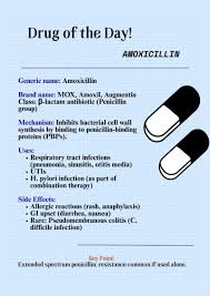 Image result for Extended Spectrum Penicillin
