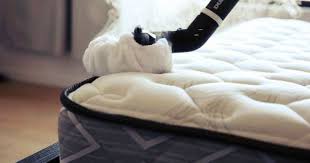 How To Clean Carpet With Bed Bugs Getridofallthings Com In 2020 Mattress Cleaning Steam Clean Mattress How To Clean Carpet