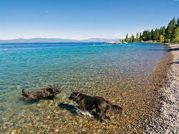Here's the quick answer if you are able to make this entire trip by car without stopping. Travels In Geology Lake Tahoe Jewel Of The Sierra Nevada