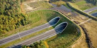 Maybe you would like to learn more about one of these? Autostrada Lugoj Deva Se ImpiedicÄƒ In Ecoducte