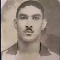 Lloyd G. Levy Obituary (2024)