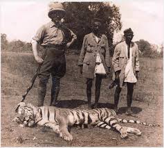 Tiger Hunting in India — Overview ...