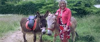 About rent donkey apartment search: Kelly S Donkeys Donkeys For Hire Rides In South West England And The Midlands