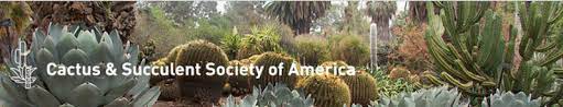 Discover the beauty of cacti and other succulents with the bcss! Cactus And Succulent Society Of America Home Page